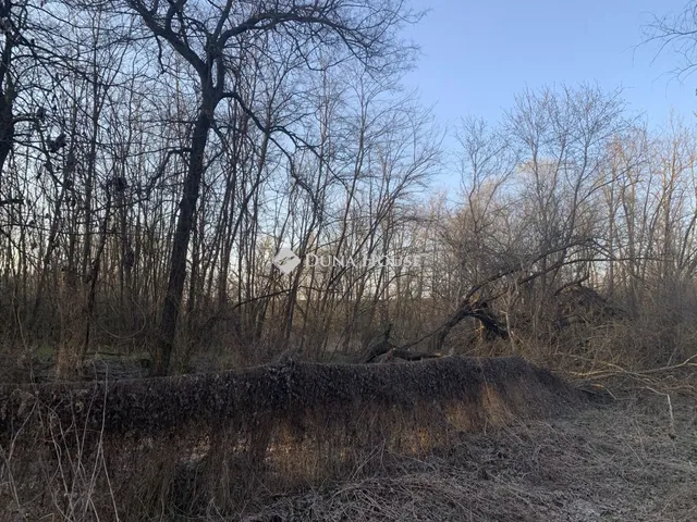 Eladó telek Őrbottyán 1328 nm