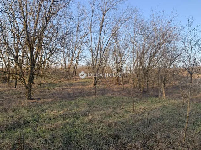 Eladó telek Őrbottyán 1304 nm