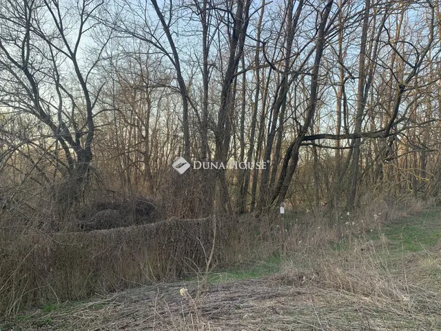 Eladó telek Őrbottyán 1328 nm