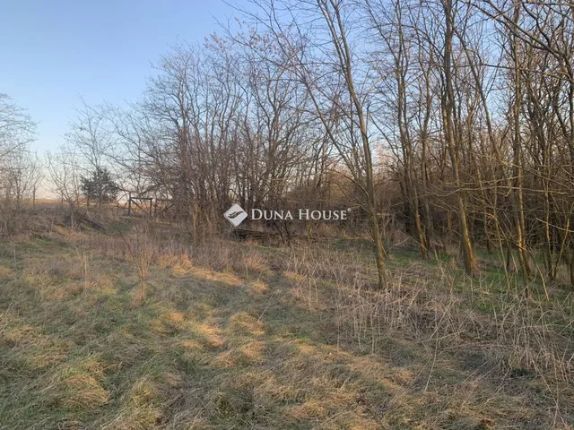 Eladó telek Őrbottyán 2699 nm