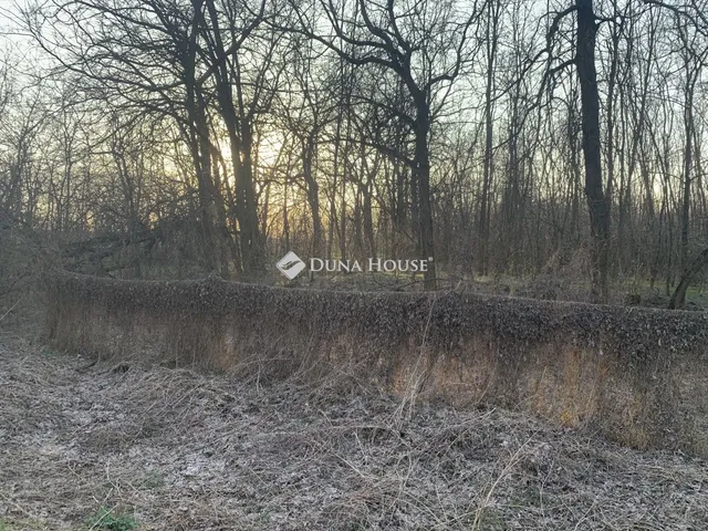 Eladó telek Őrbottyán 2632 nm
