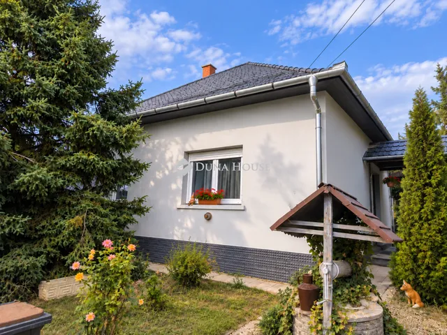 Eladó ház Tiszaszőlős 100 nm