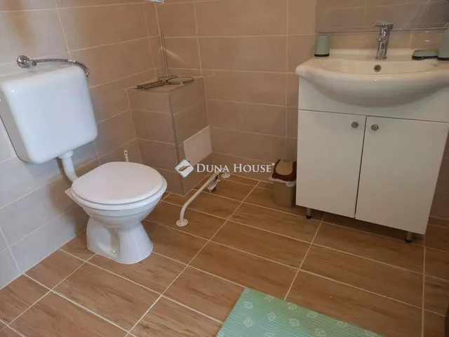 Kiadó ház Tiszapalkonya 20 nm