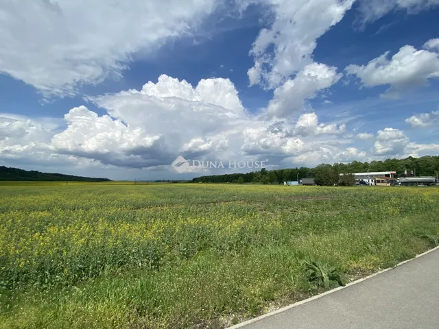 Eladó mezőgazdasági ingatlan Szirmabesenyő 236230 nm