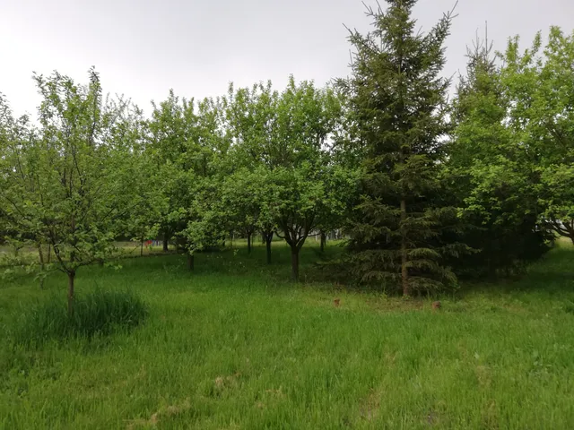 Eladó telek Oszlár 2013 nm