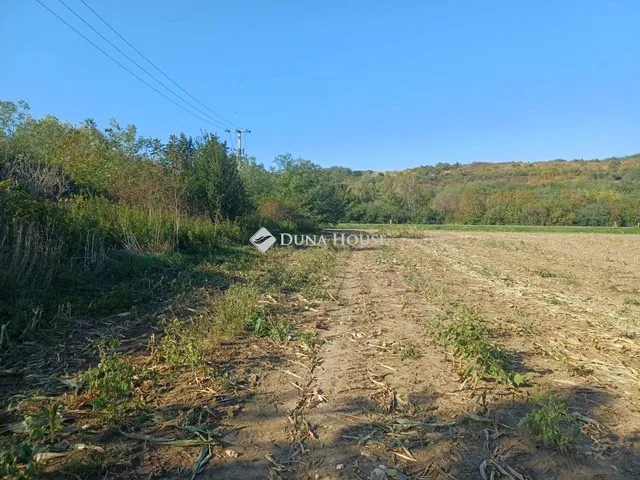 Eladó telek Nyékládháza, Külterület 32123 nm