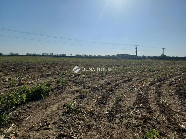 Eladó telek Nyékládháza, Külterület 32123 nm