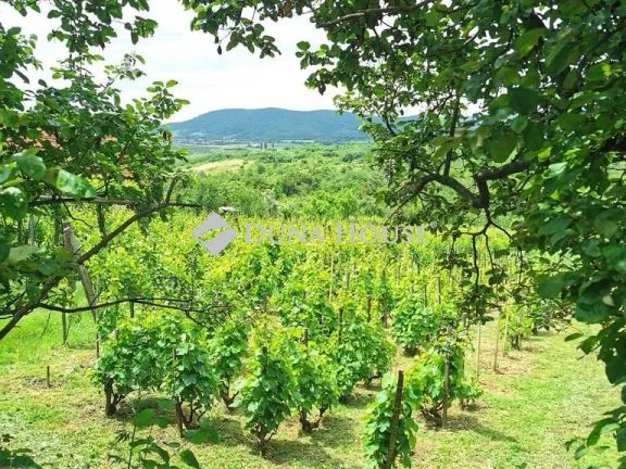 Eladó mezőgazdasági ingatlan Sátoraljaújhely 60 nm