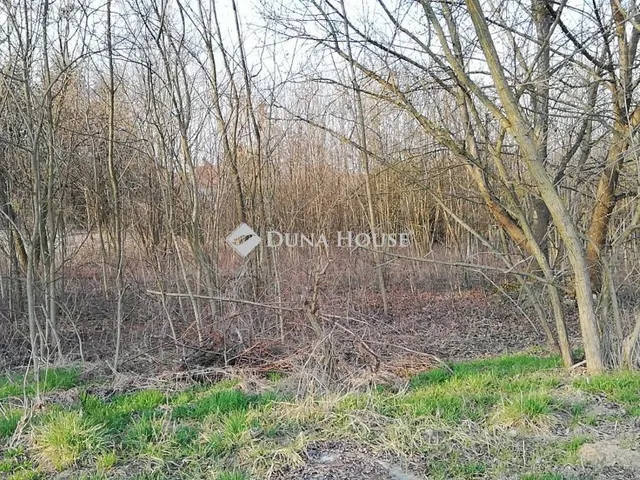 Eladó telek Hejőkeresztúr, Petőfi Sándor utca 2510 nm