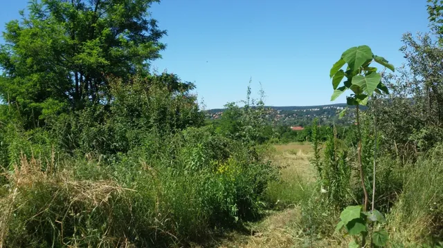 Eladó telek Budapest II. kerület 1185 nm