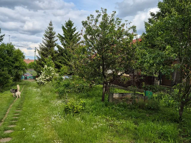 Eladó telek Budakalász 726 nm