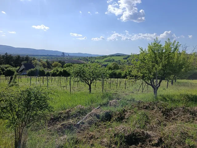 Eladó telek Vác 6150 nm