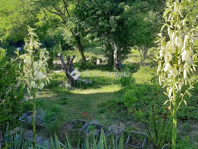 Eladó telek Erdőkertes, Béke utca 755 nm