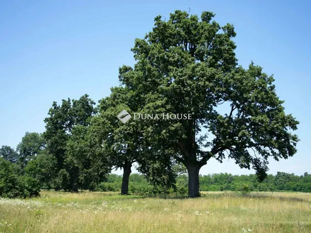 Eladó mezőgazdasági ingatlan Somogyvár