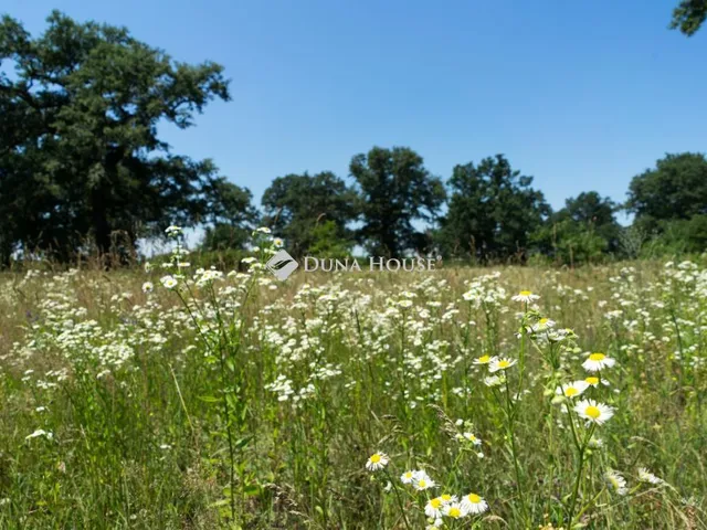 Eladó mezőgazdasági ingatlan Somogyvár, Külterület