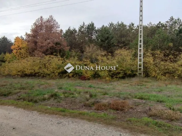 Eladó telek Ágasegyháza, Nincs utca 2455 nm