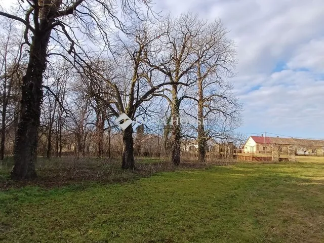 Eladó ház Igar, Nincs utca 638 nm