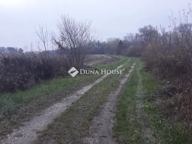 Eladó telek Csokonyavisonta, Nincs utca 6881 nm