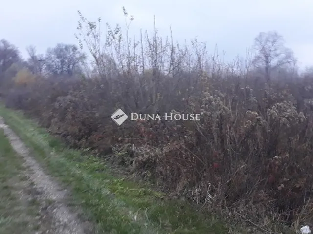 Eladó telek Csokonyavisonta, Nincs utca 6881 nm