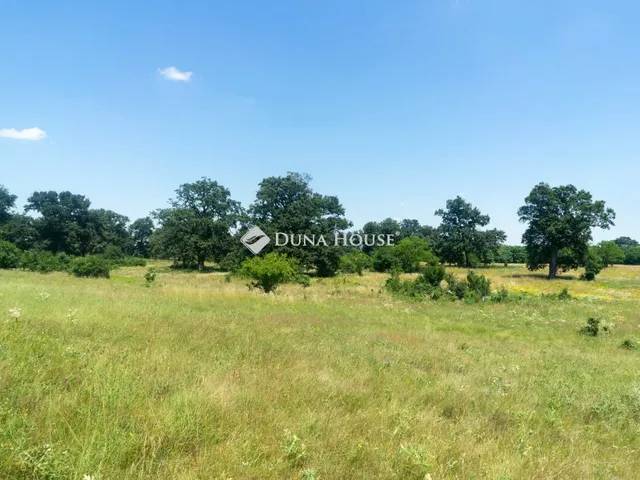 Eladó mezőgazdasági ingatlan Somogyvár, Külterület 1630000 nm