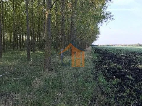 Eladó mezőgazdasági ingatlan Sarkadkeresztúr 39172 nm