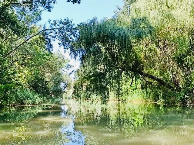 Eladó ház Dunaharaszti, Alsóváros 120 nm