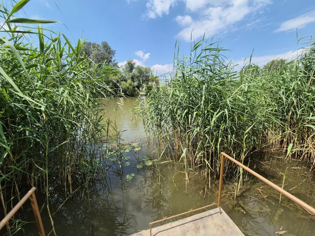 Eladó ház Dunaharaszti, Óváros 80 nm