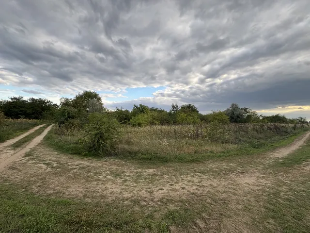 Eladó mezőgazdasági ingatlan Alsónémedi 2297 nm