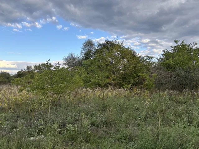 Eladó mezőgazdasági ingatlan Alsónémedi 2297 nm