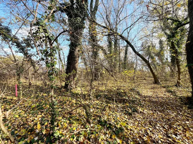 Eladó telek Dömsöd 487 nm