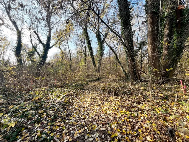 Eladó telek Dömsöd 823 nm