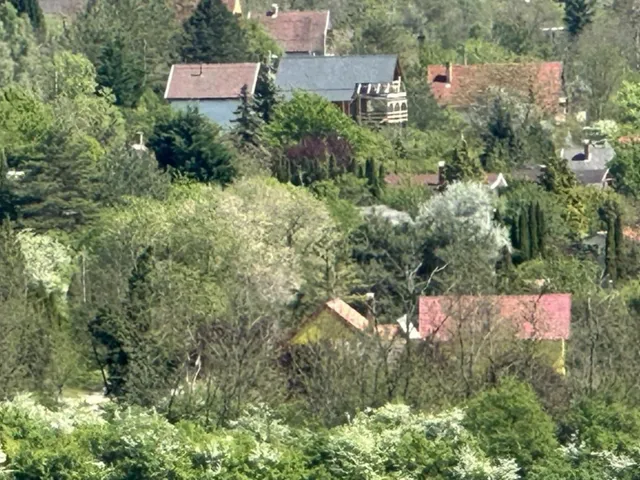 Eladó telek Domony, Szalonka utca 800 nm