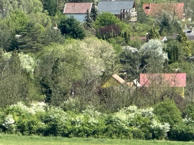 Eladó ház Domony, Szalonka utca 88 nm