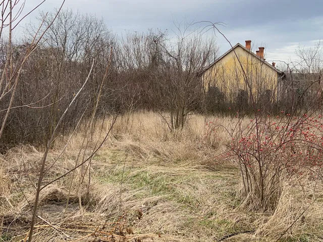 Eladó ház Mezőhegyes, Ómezőhegyes, Május 1 tér 5 47 nm