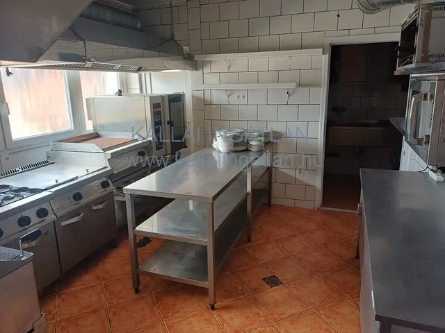 Kiadó kereskedelmi és ipari ingatlan Nyíregyháza, Bujtos 60 nm