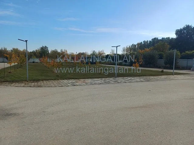 Eladó kereskedelmi és ipari ingatlan Tiszalök 200 nm