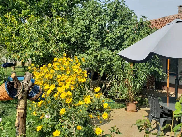 Eladó ház Szeged 120 nm