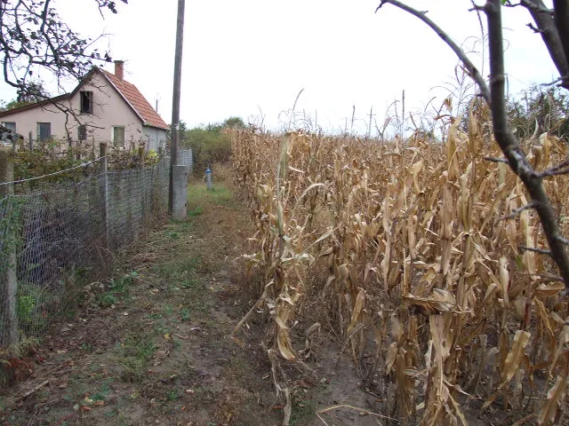 Eladó mezőgazdasági ingatlan Gyula, Kalvária 2770 nm