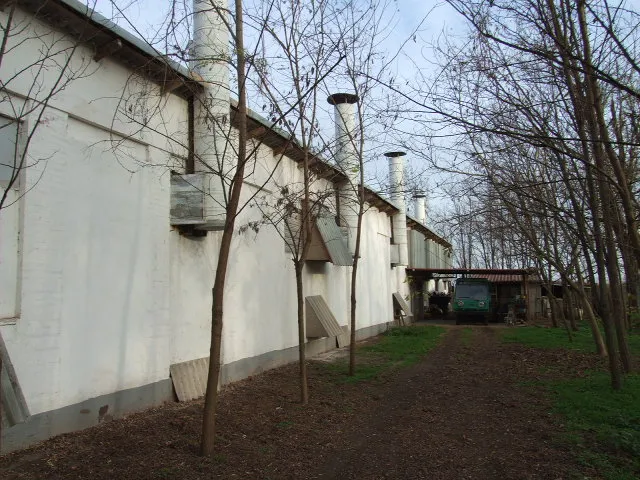 Eladó mezőgazdasági ingatlan Gyula, Kétegyházi u. 450 nm