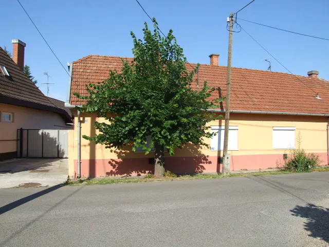 Kiadó ház Gyula 110 nm