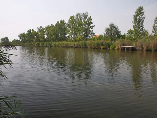 Eladó mezőgazdasági ingatlan Gyomaendrőd 825 nm