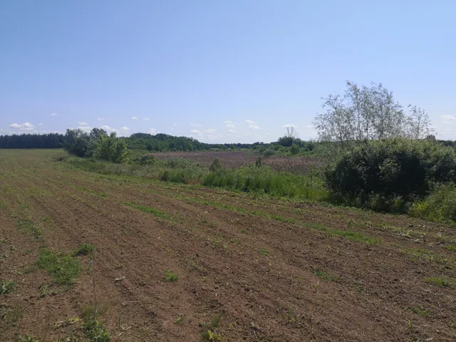 Eladó kereskedelmi és ipari ingatlan Jánd, Tisza holtág 71000 nm