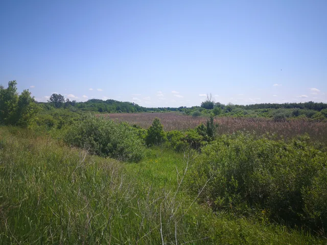 Eladó kereskedelmi és ipari ingatlan Jánd, Tisza holtág 71000 nm