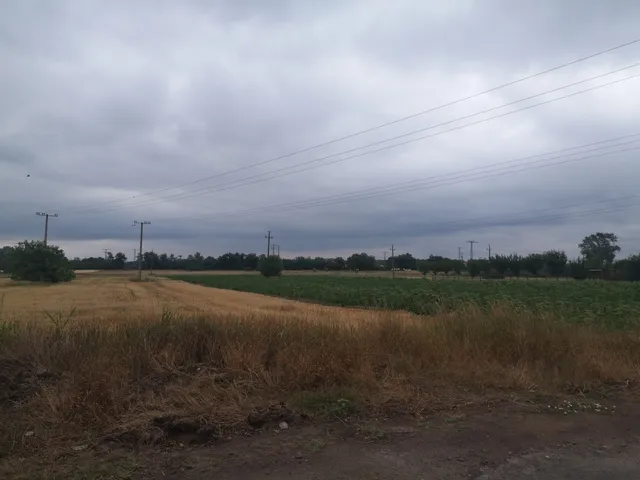 Eladó mezőgazdasági ingatlan Gyula 3008 nm