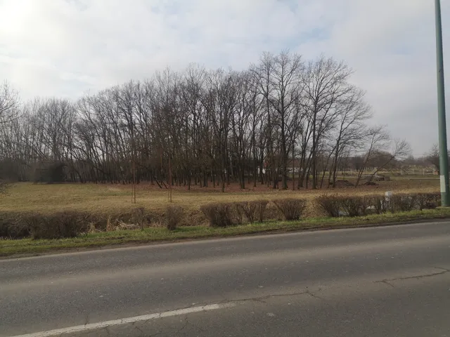 Eladó mezőgazdasági ingatlan Gyula 5662 nm