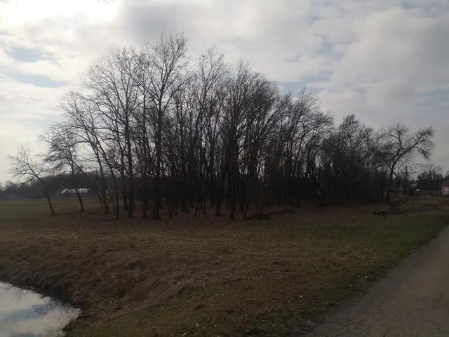 Eladó mezőgazdasági ingatlan Gyula, Csabai u. 5662 nm