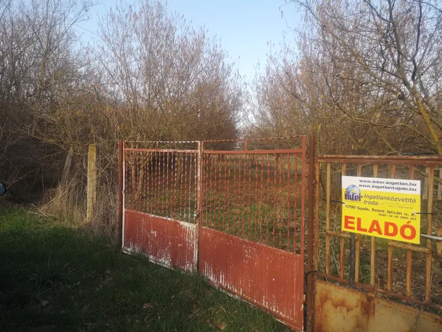 Eladó mezőgazdasági ingatlan Gyula, Törökzug 5484 nm