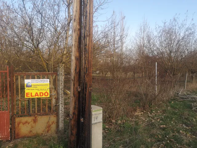 Eladó mezőgazdasági ingatlan Gyula, Törökzug, Külsőtötökzug 5484 nm