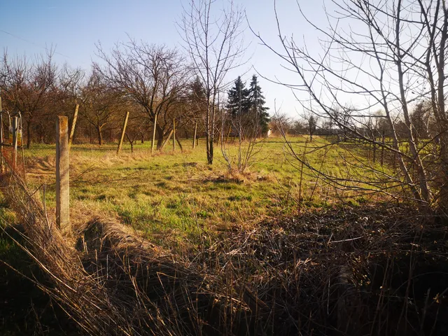 Eladó mezőgazdasági ingatlan Gyula, Törökzug 1474 nm