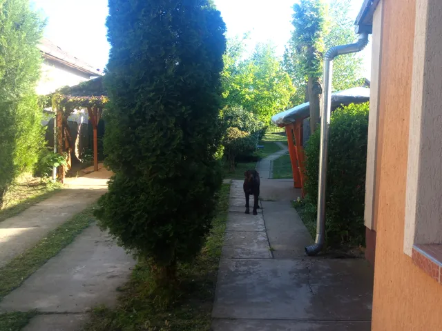 Eladó ház Geszt, Kossuth utca 120 nm